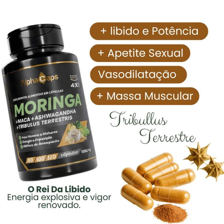 4 em 1 — Moringa + Maca negra + Ashwagandha + Tribulus Terrestris