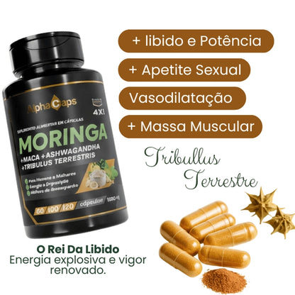 4 em 1 — Moringa + Maca negra + Ashwagandha + Tribulus Terrestris