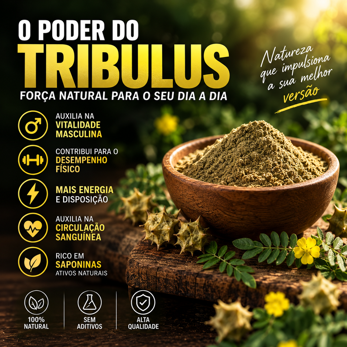 Cápsulas de Moringa, Maca Peruana e Ashwagandha 1000mg - Nutrishaper