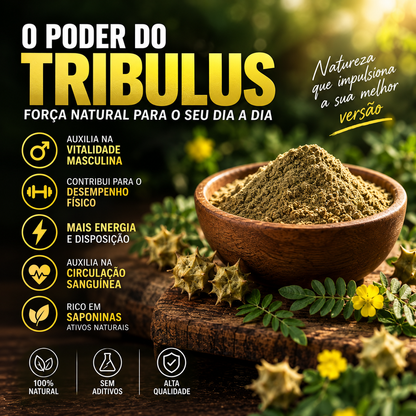 Cápsulas de Moringa, Maca Peruana e Ashwagandha 1000mg - Nutrishaper