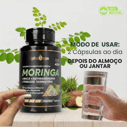 4 em 1 — Moringa + Maca negra + Ashwagandha + Tribulus Terrestris