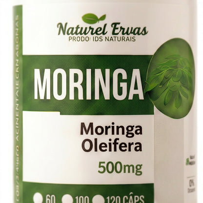 Moringa Oleifera close-up do rótulo