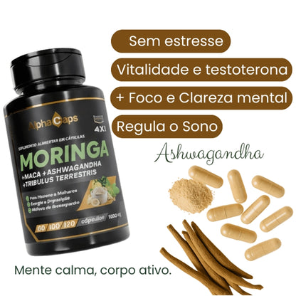 4 em 1 — Moringa + Maca negra + Ashwagandha + Tribulus Terrestris